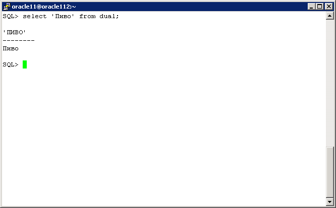 SQL PLUS